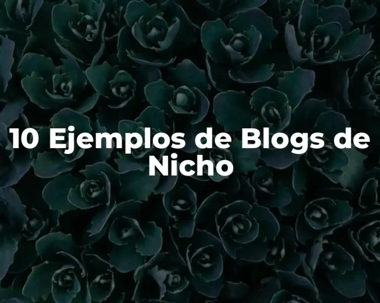 10 Ejemplos de Blogs de Nicho