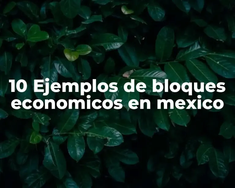 10 Ejemplos de bloques economicos en mexico
