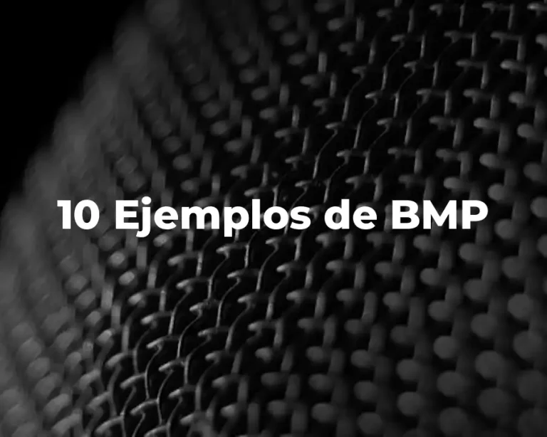 10 Ejemplos de BMP