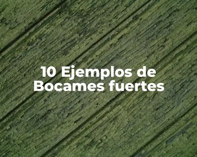 10 Ejemplos de Bocames fuertes