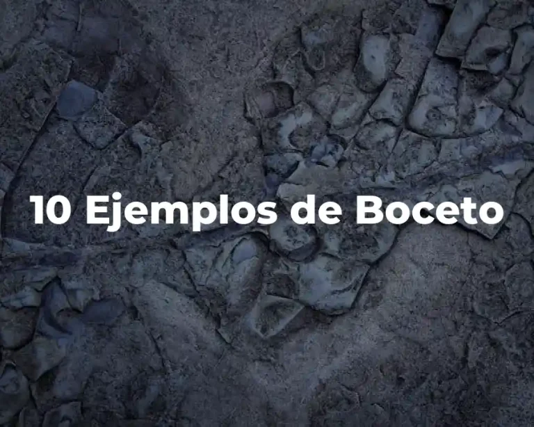 10 Ejemplos de Boceto
