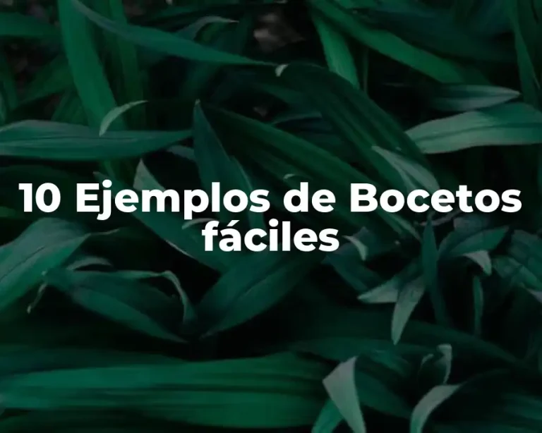 10 Ejemplos de Bocetos fáciles