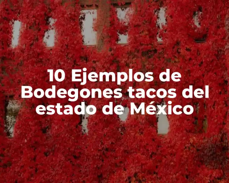 10 Ejemplos de Bodegones tacos del estado de México