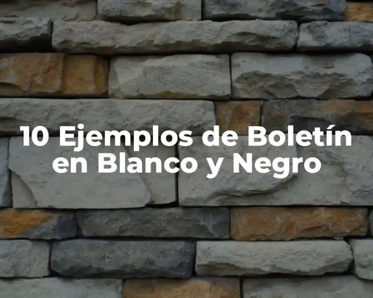 10 Ejemplos de Boletín en Blanco y Negro