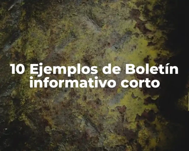 10 Ejemplos de Boletín informativo corto