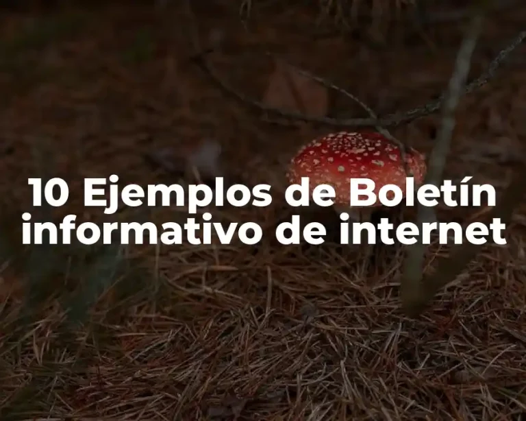 10 Ejemplos de Boletín informativo de internet