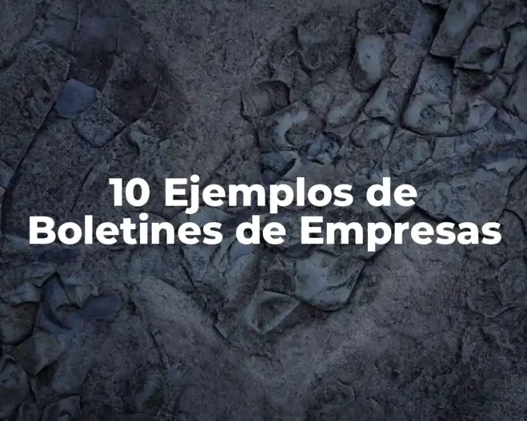 10 Ejemplos de Boletines de Empresas