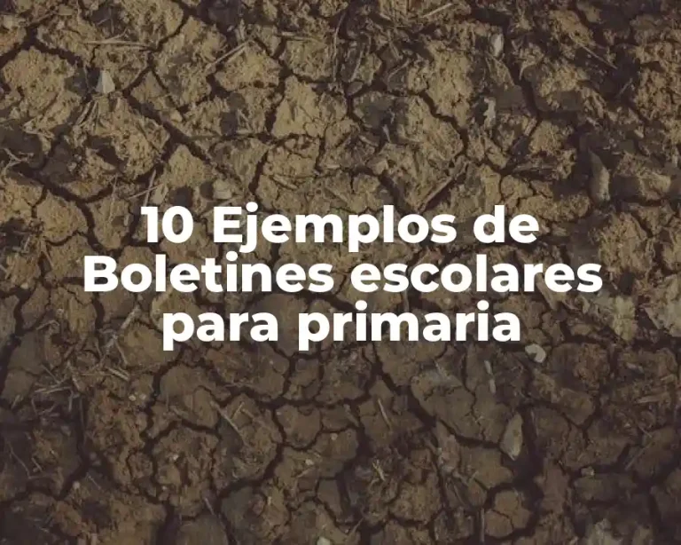 10 Ejemplos de Boletines escolares para primaria