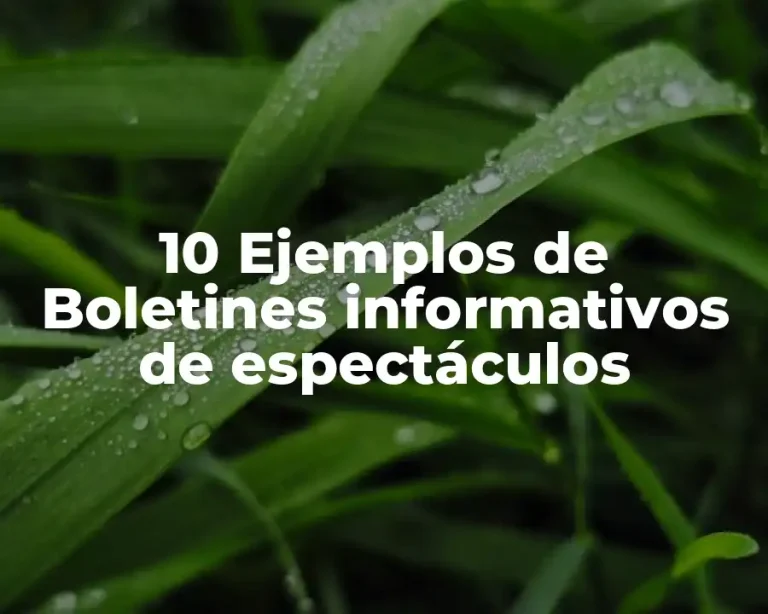 10 Ejemplos de Boletines informativos de espectáculos