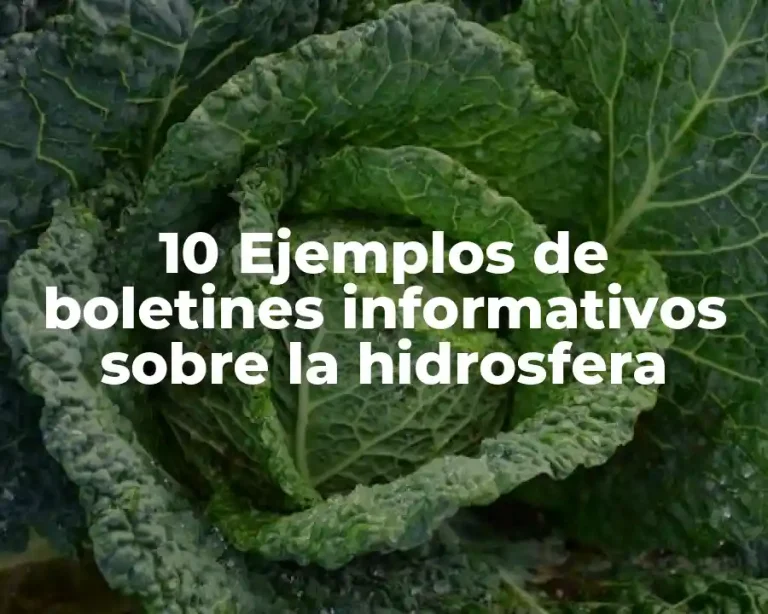 10 Ejemplos de boletines informativos sobre la hidrosfera