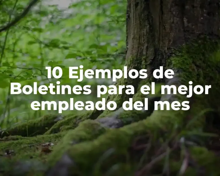10 Ejemplos de Boletines para el mejor empleado del mes