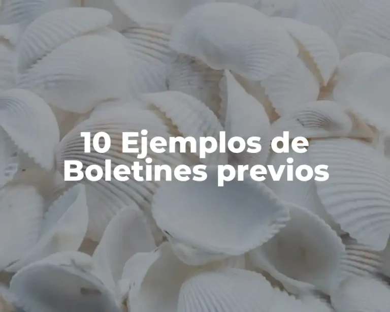 10 Ejemplos de Boletines previos
