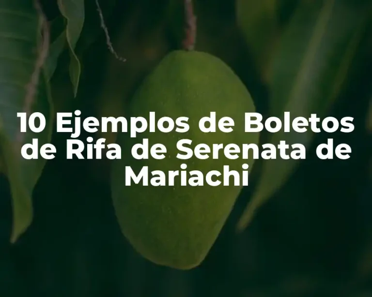 10 Ejemplos de Boletos de Rifa de Serenata de Mariachi