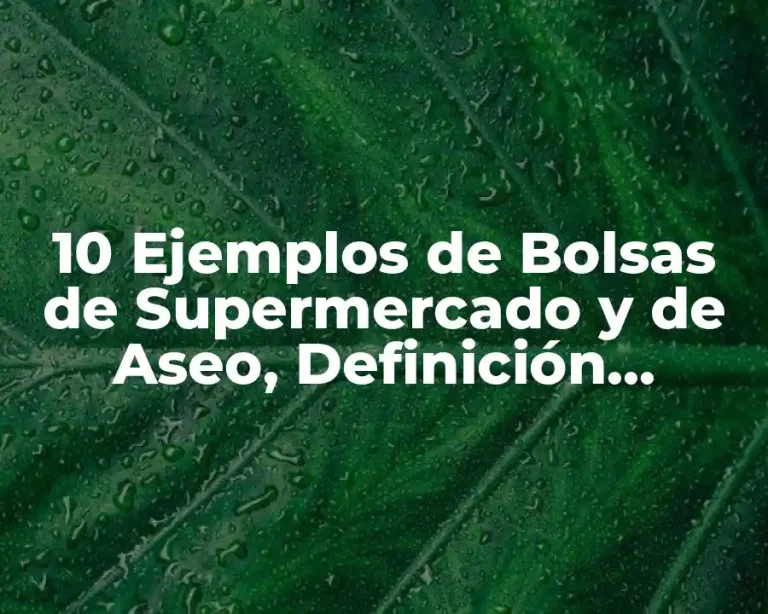 10 Ejemplos de Bolsas de Supermercado y de Aseo, Definición, Diferencias y para que sirve