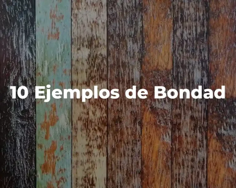 10 Ejemplos de Bondad