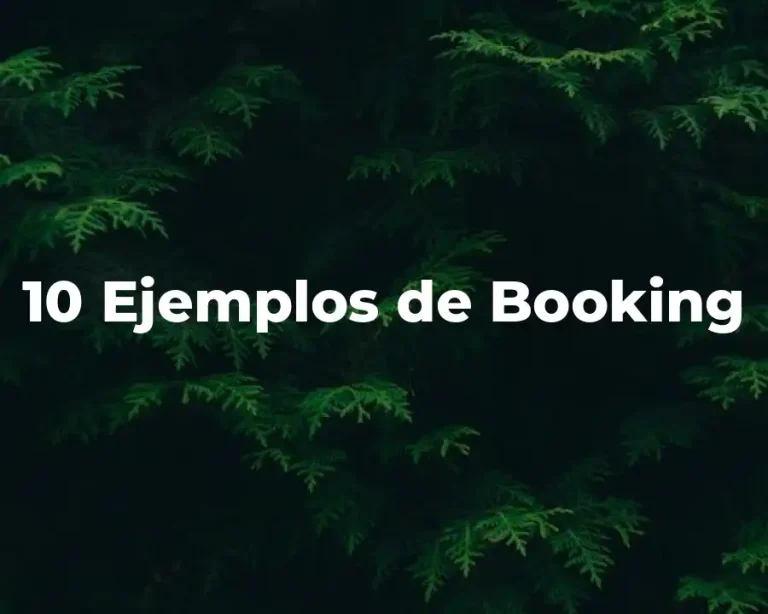 10 Ejemplos de Booking