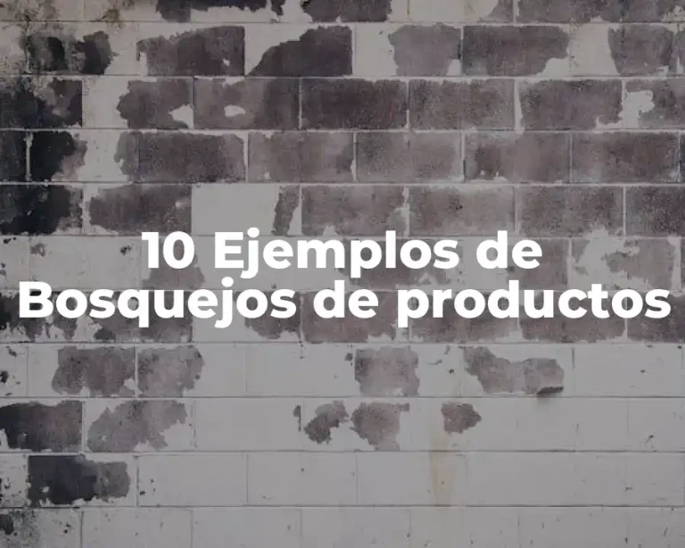 10 Ejemplos de Bosquejos de productos