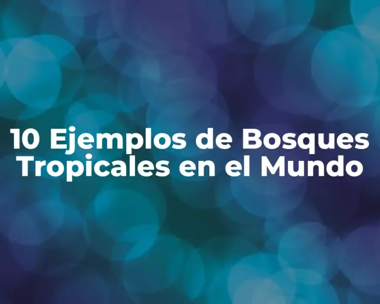 10 Ejemplos de Bosques Tropicales en el Mundo