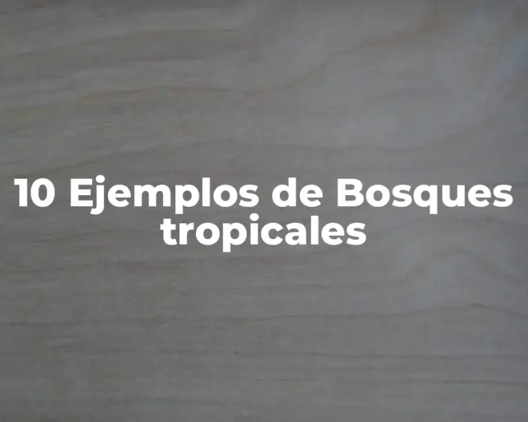 10 Ejemplos de Bosques tropicales