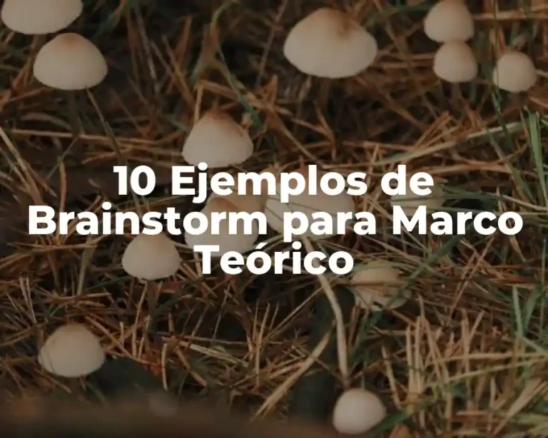 10 Ejemplos de Brainstorm para Marco Teórico