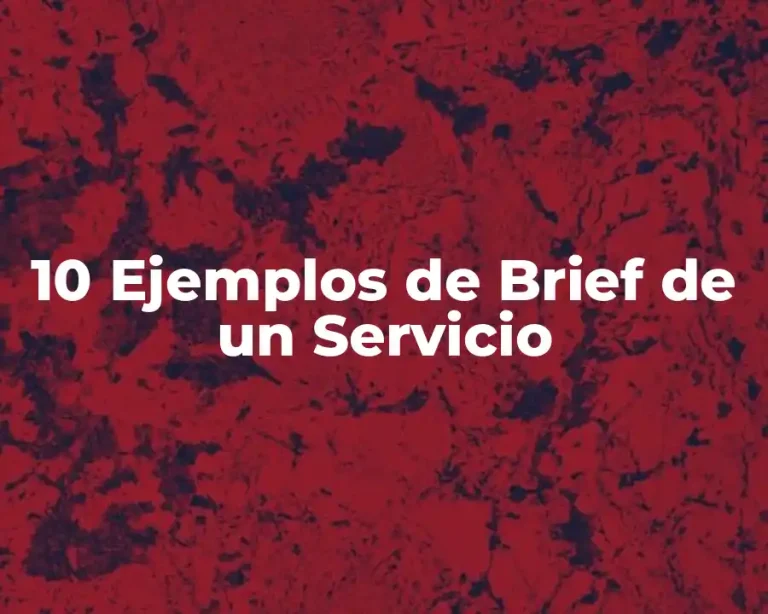 10 Ejemplos de Brief de un Servicio