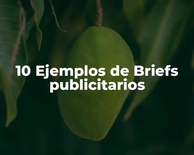 10 Ejemplos de Briefs publicitarios