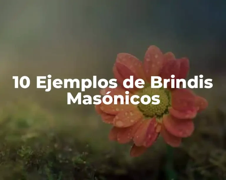 10 Ejemplos de Brindis Masónicos