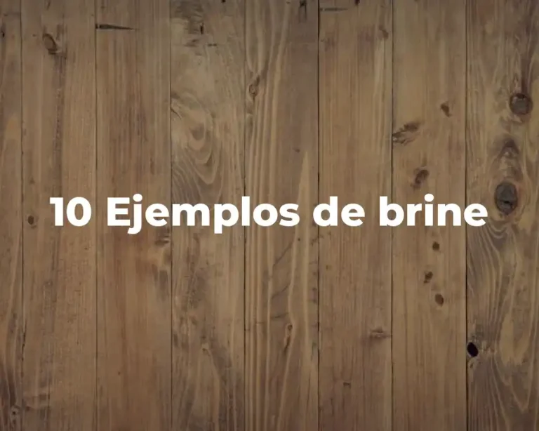 10 Ejemplos de brine
