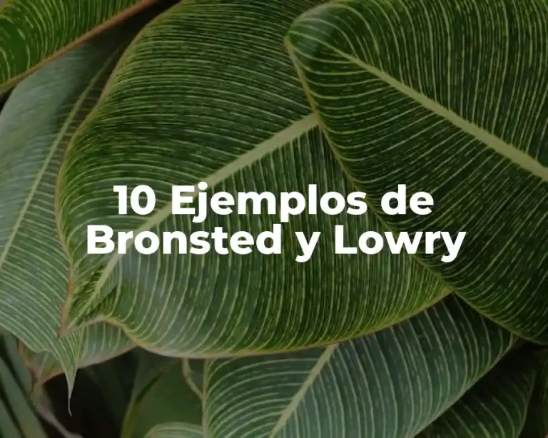 10 Ejemplos de Bronsted y Lowry