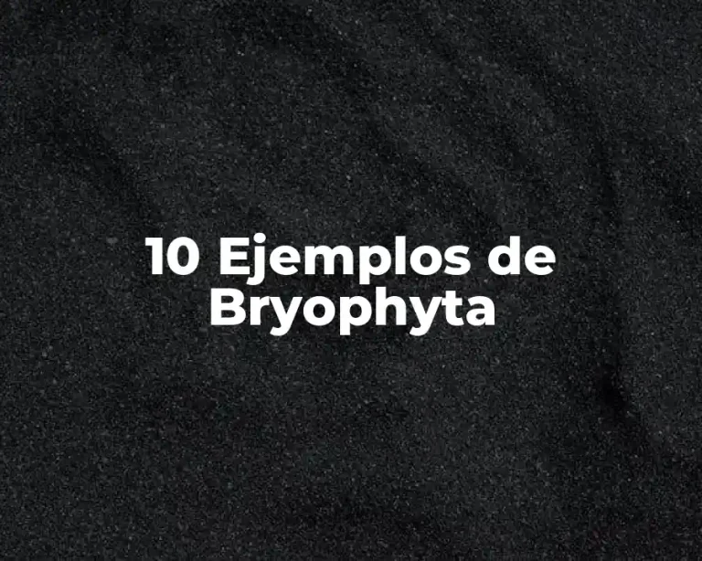 10 Ejemplos de Bryophyta