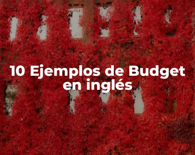 10 Ejemplos de Budget en inglés
