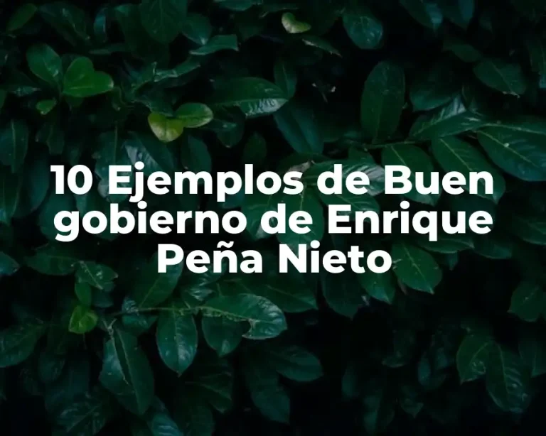 10 Ejemplos de Buen gobierno de Enrique Peña Nieto