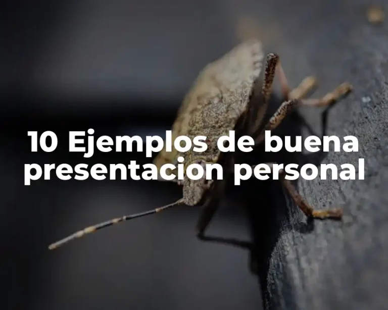 10 Ejemplos de buena presentacion personal