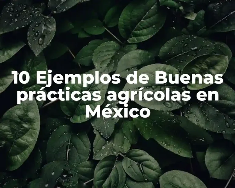 10 Ejemplos de Buenas prácticas agrícolas en México
