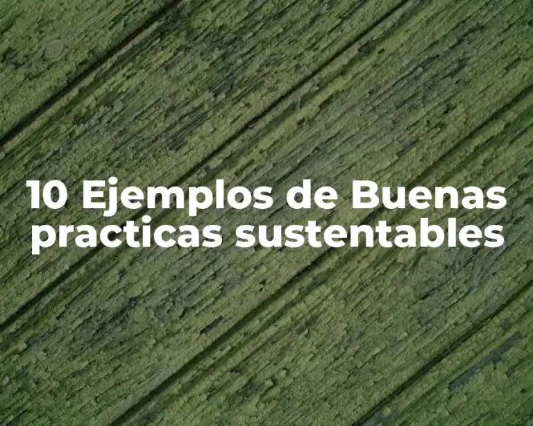 10 Ejemplos de Buenas practicas sustentables