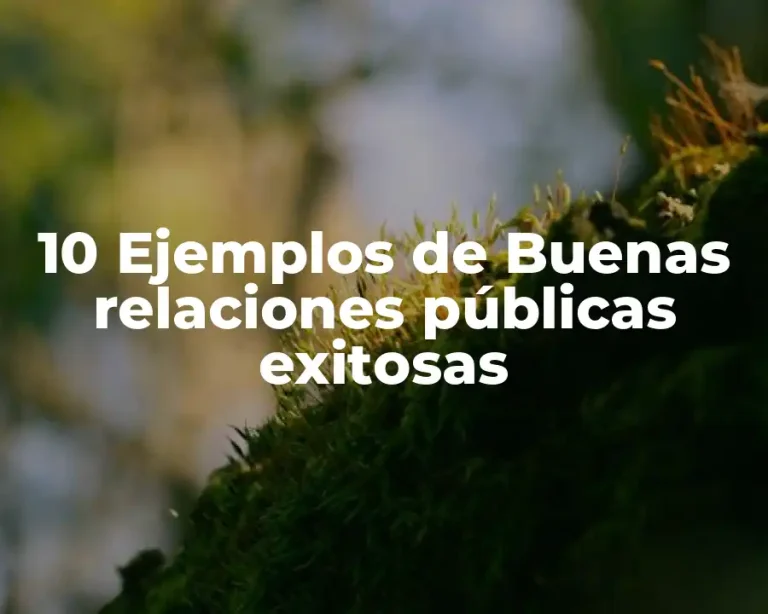 10 Ejemplos de Buenas relaciones públicas exitosas