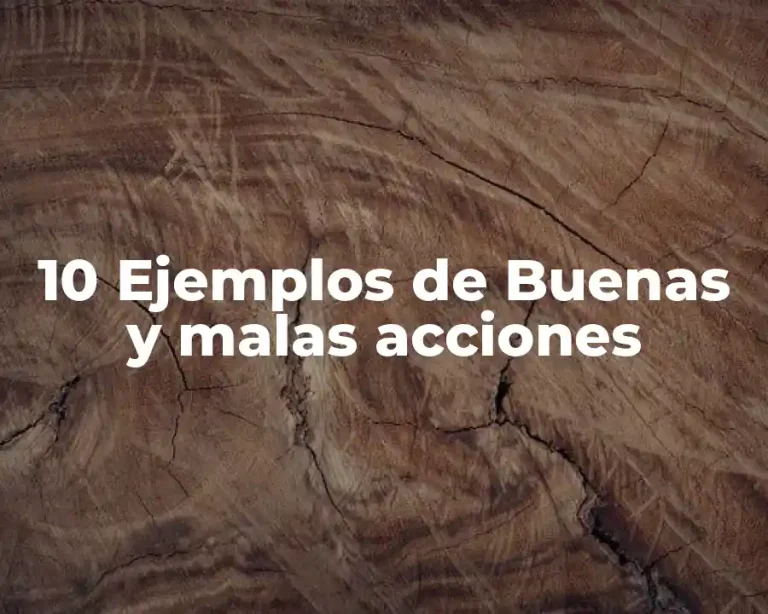 10 Ejemplos de Buenas y malas acciones