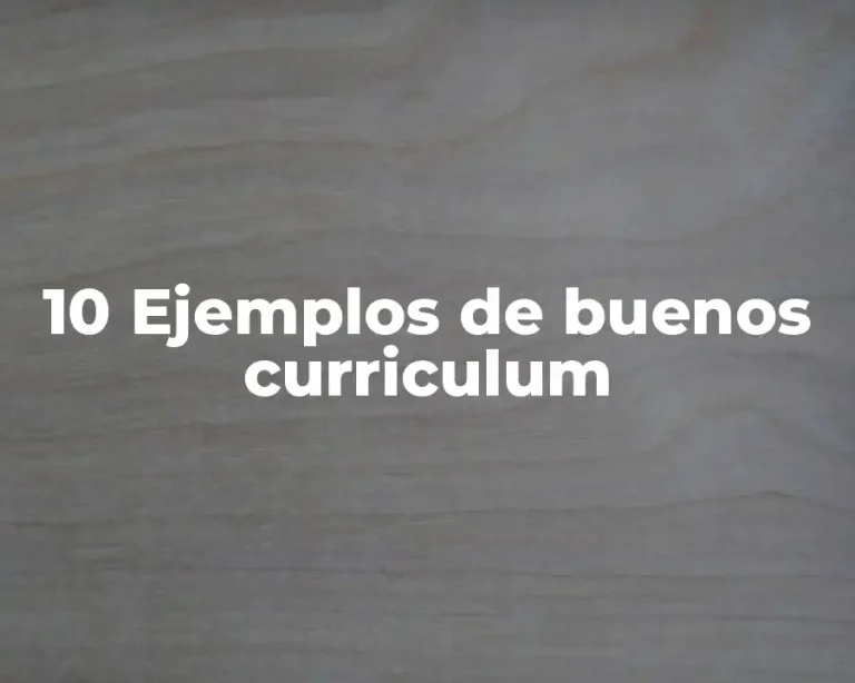10 Ejemplos de buenos curriculum
