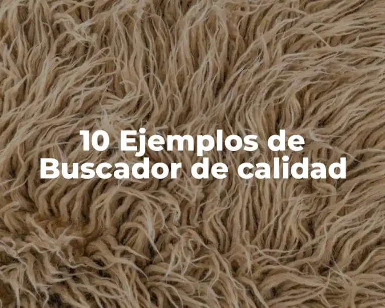 10 Ejemplos de Buscador de calidad