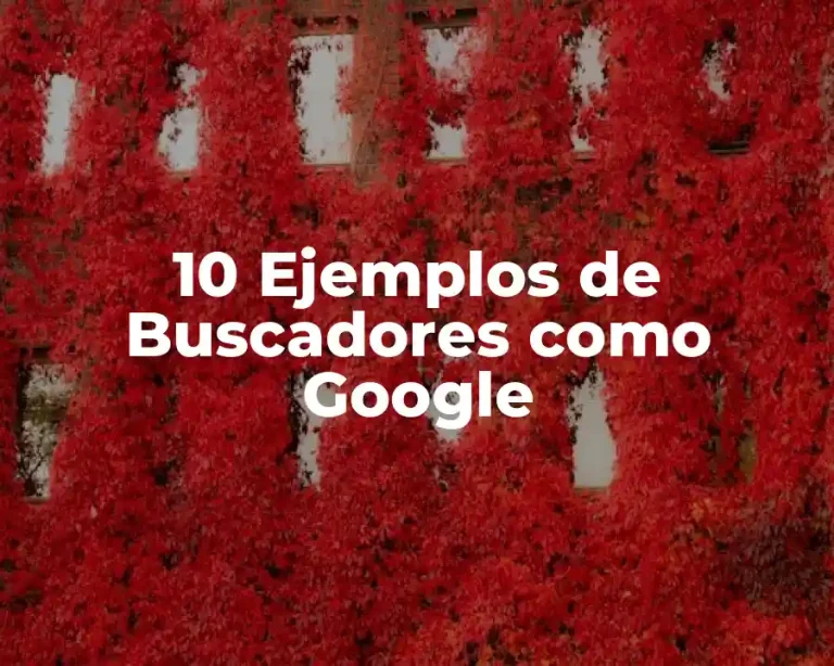 10 Ejemplos de Buscadores como Google
