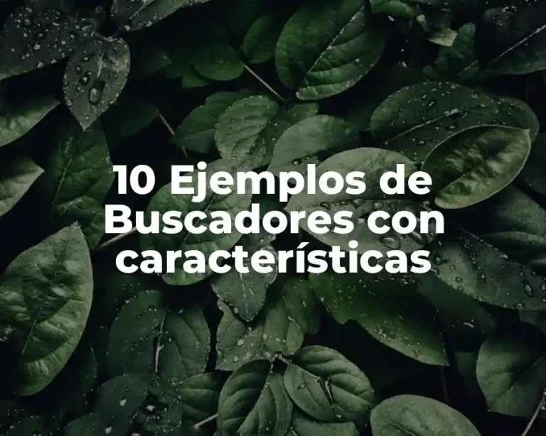 10 Ejemplos de Buscadores con características