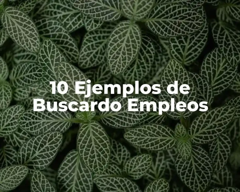 10 Ejemplos de Buscardo Empleos