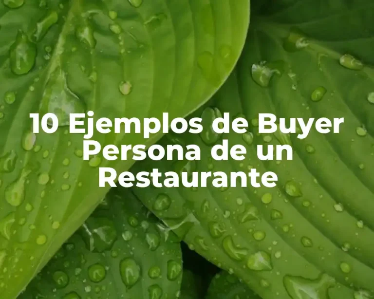 10 Ejemplos de Buyer Persona de un Restaurante