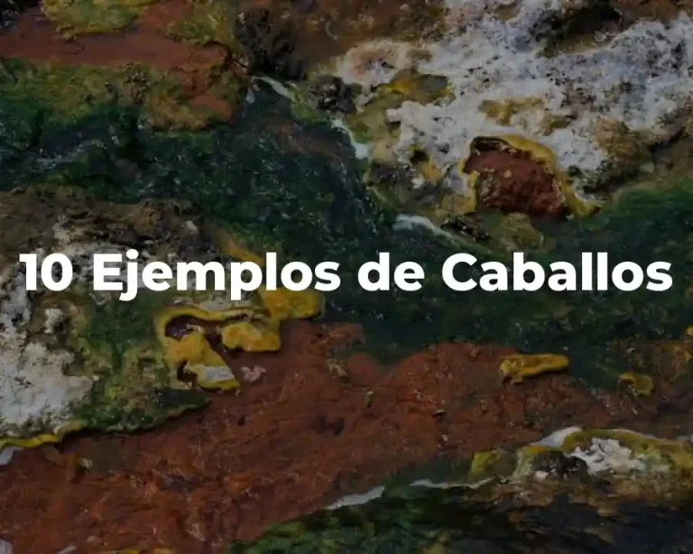 10 Ejemplos de Caballos