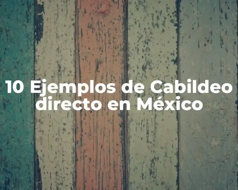 10 Ejemplos de Cabildeo directo en México