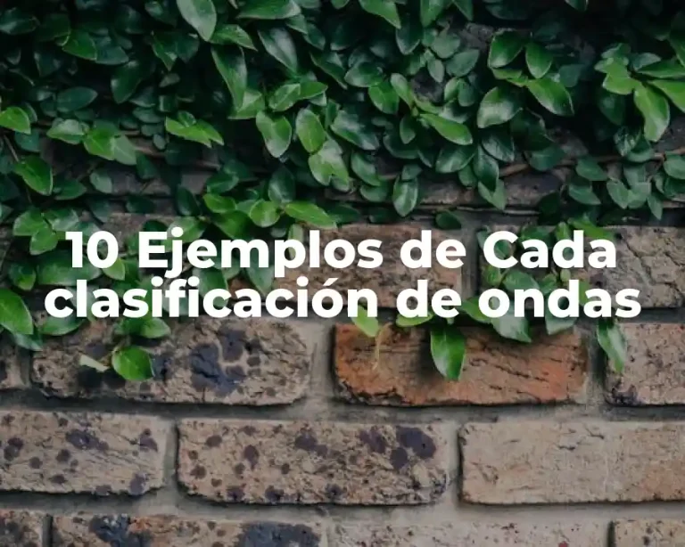 10 Ejemplos de Cada clasificación de ondas