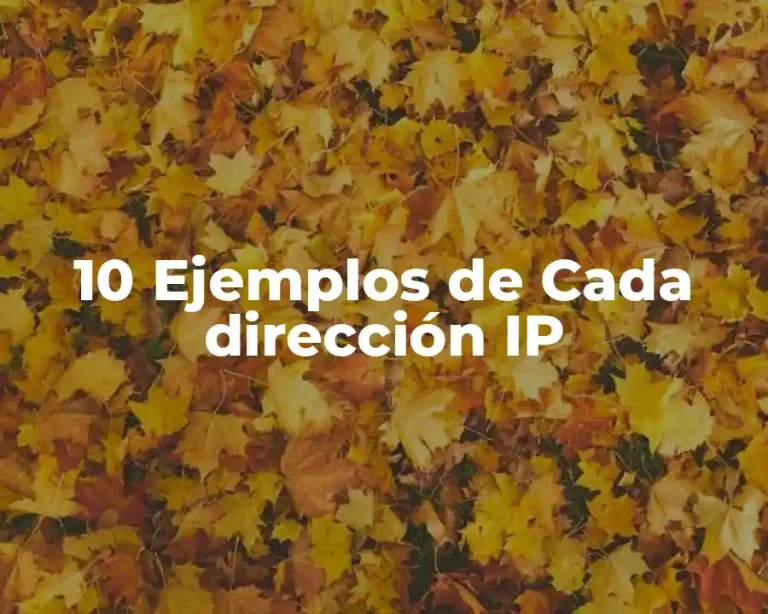 10 Ejemplos de Cada dirección IP