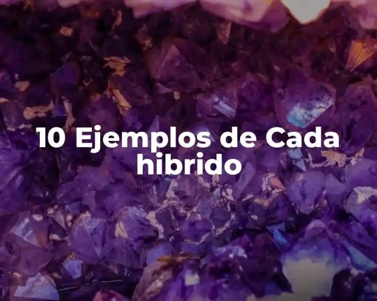 10 Ejemplos de Cada hibrido