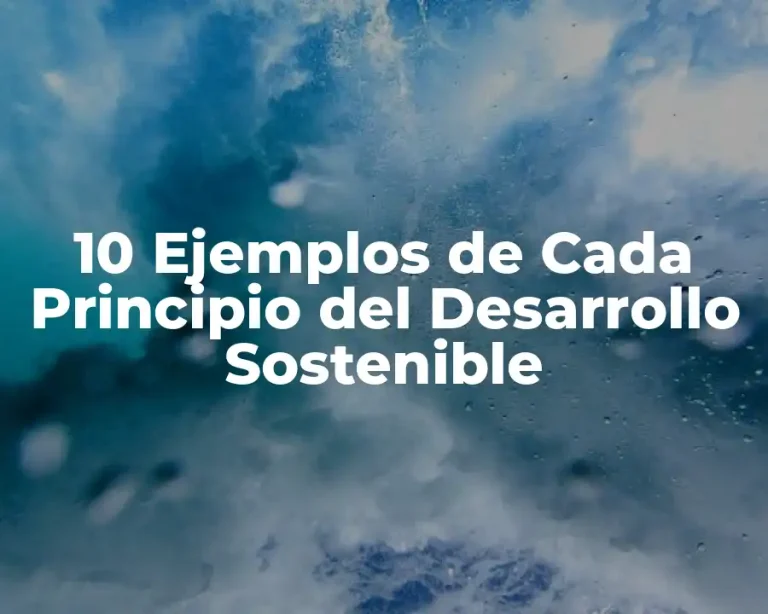 10 Ejemplos de Cada Principio del Desarrollo Sostenible