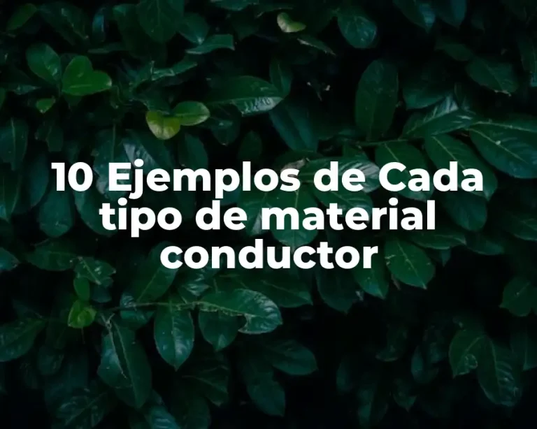 10 Ejemplos de Cada tipo de material conductor